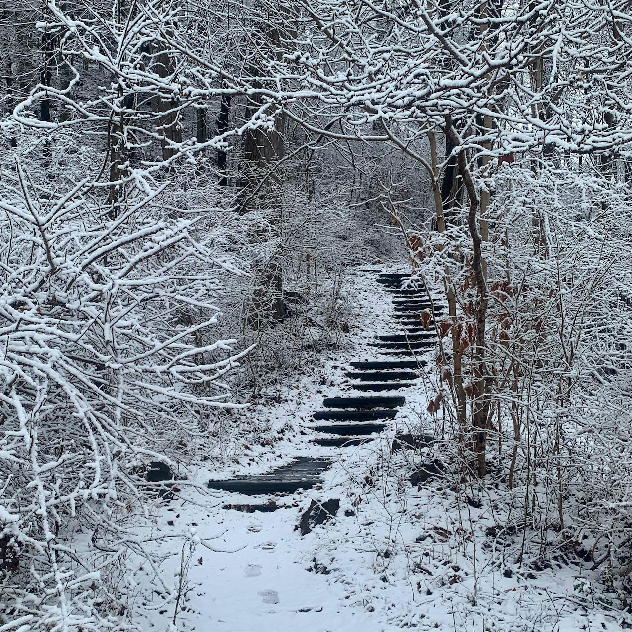 Off the beaten path | Daily Snap | Yale Alumni Magazine