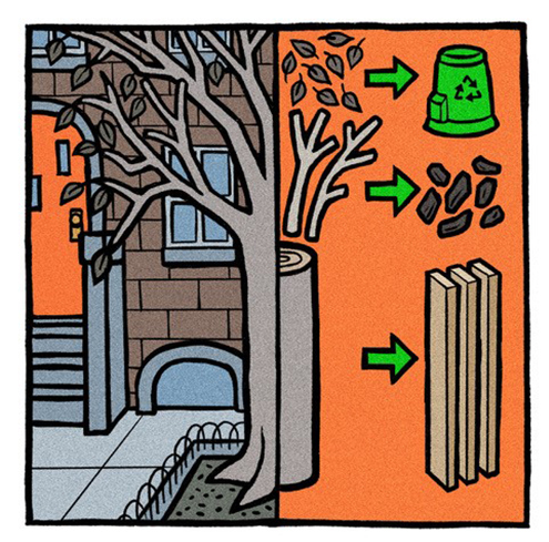Not going to waste | Findings | Yale Alumni Magazine