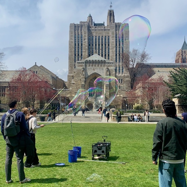 Good clean fun | Daily Snap | Yale Alumni Magazine