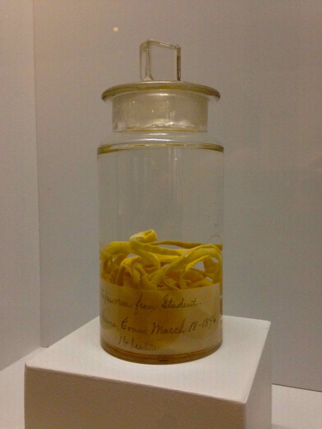 Inside the Yale student body Daily Snap Yale Alumni Magazine