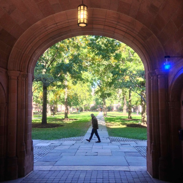 Cooling off Period Daily Snap Yale Alumni Magazine