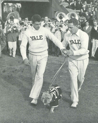 Yale Alumni Magazine