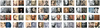 Arts lincoln thumbnails thumb