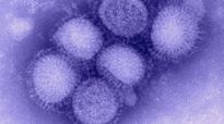 CDC Influenza Laboratory/Wikimedia Commons